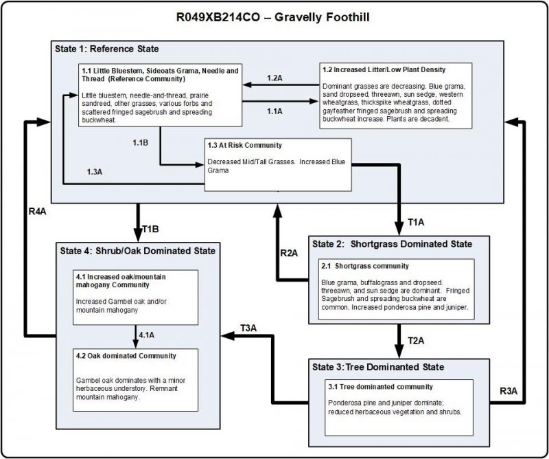 Model diagram