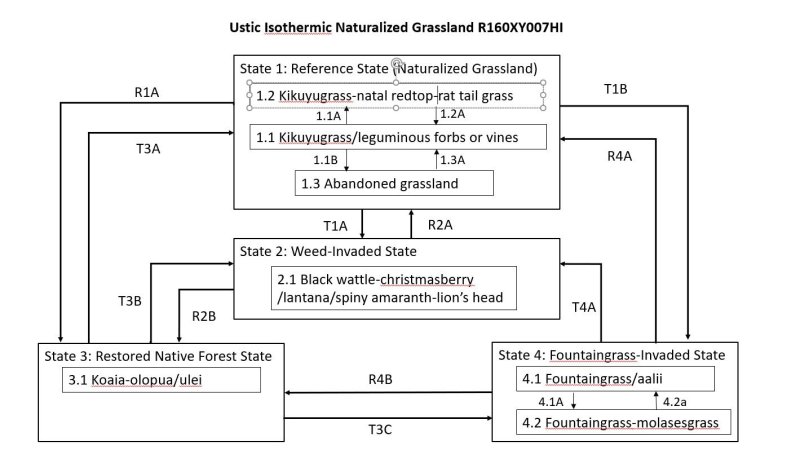 Model diagram