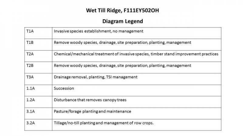 Model diagram