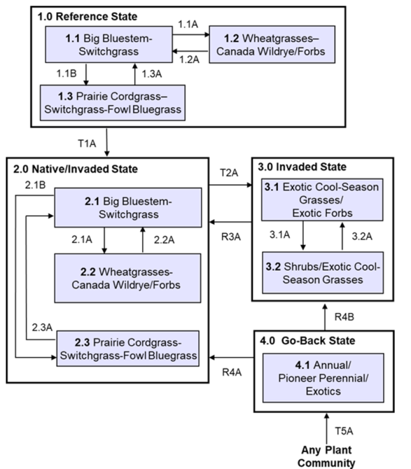 Model diagram