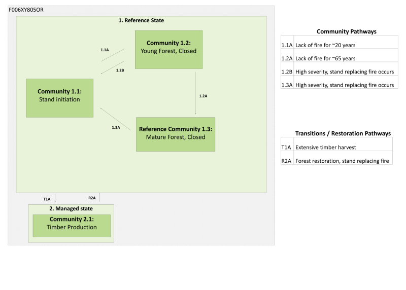 Model diagram
