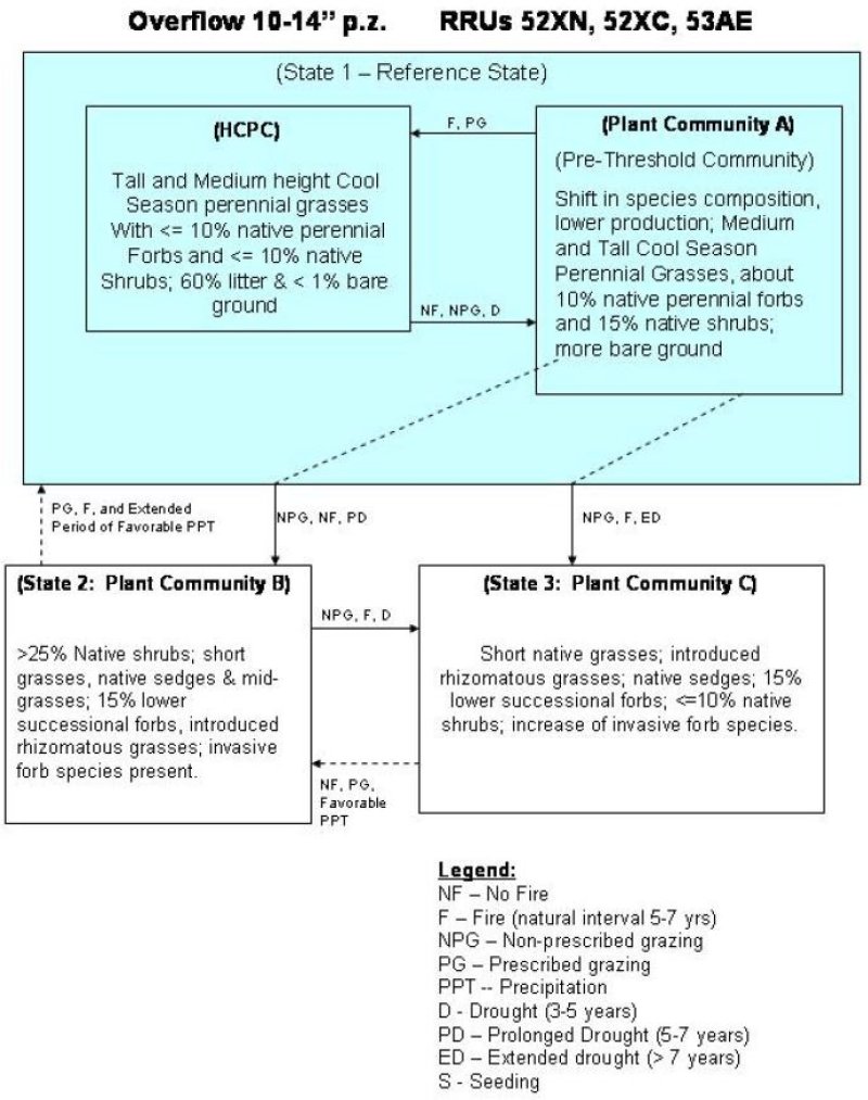 Model diagram