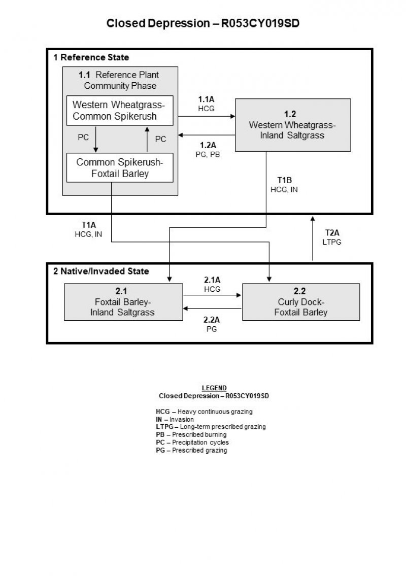 Model diagram