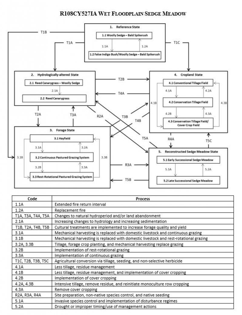 Model diagram