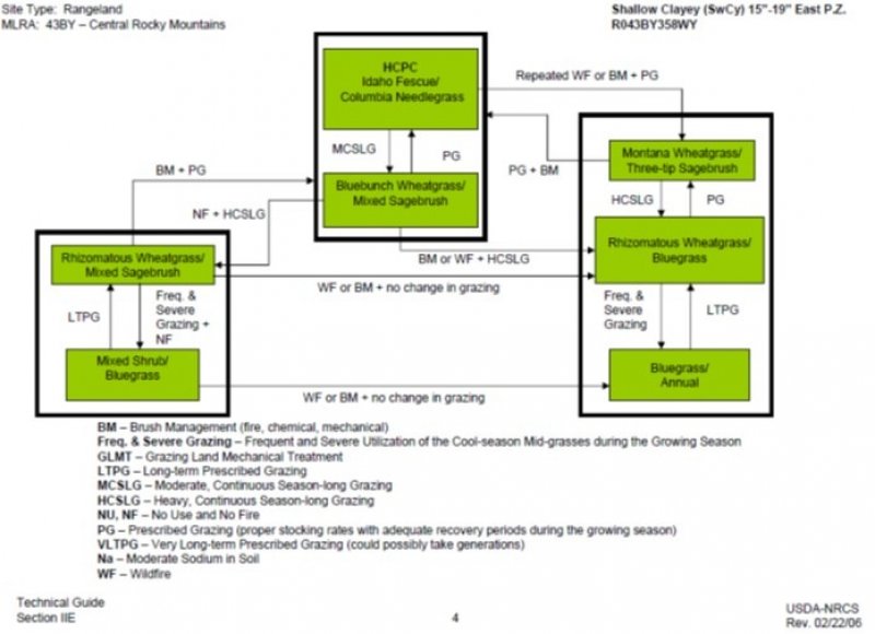 Model diagram