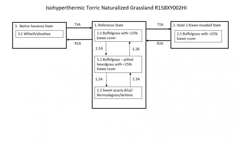Model diagram