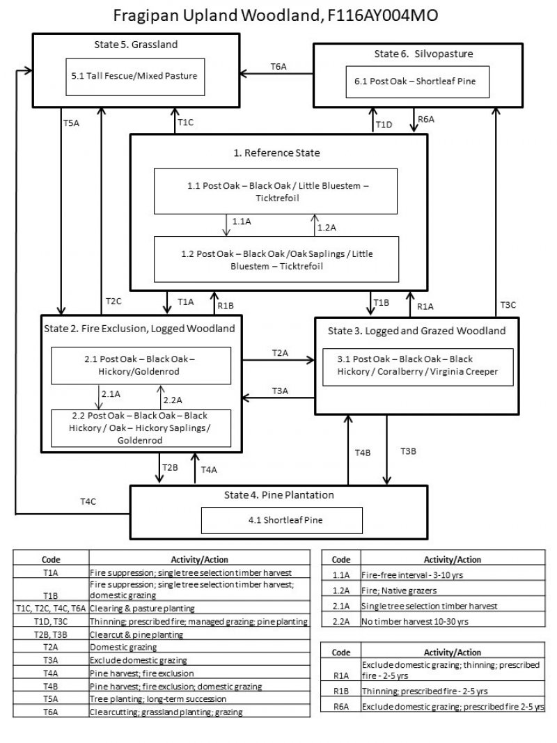 Model diagram
