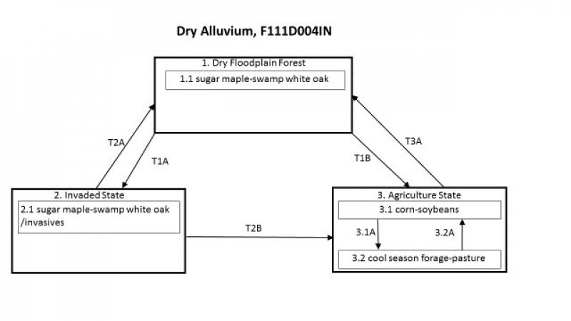 Model diagram