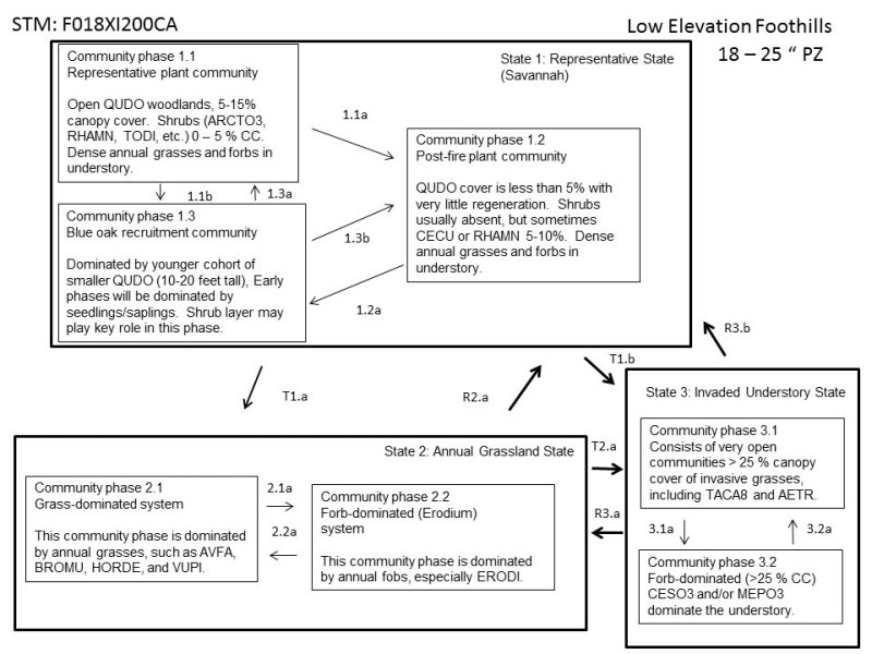 Model diagram