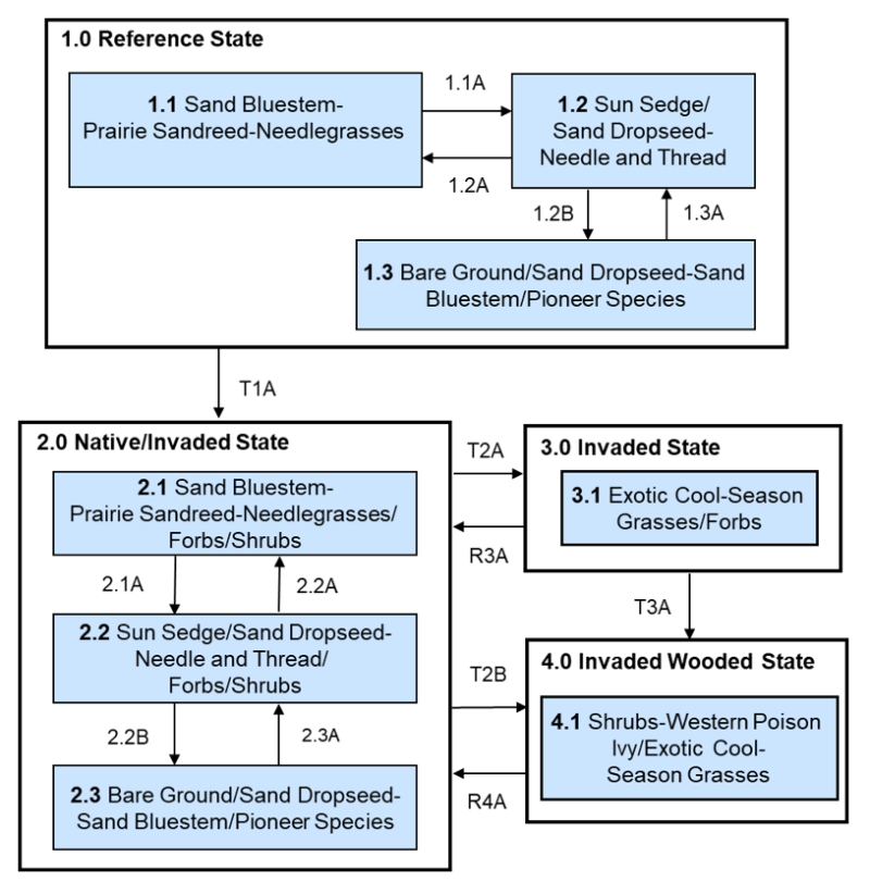 Model diagram