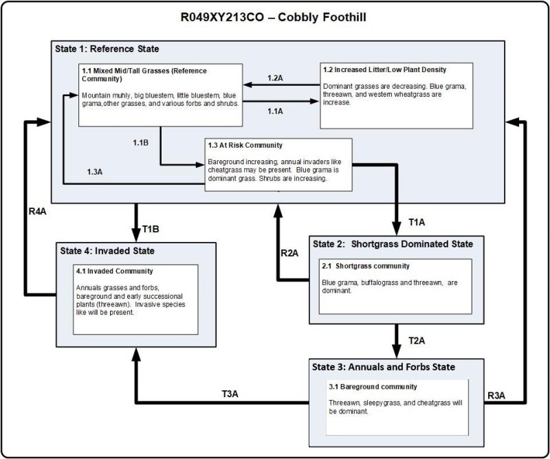 Model diagram