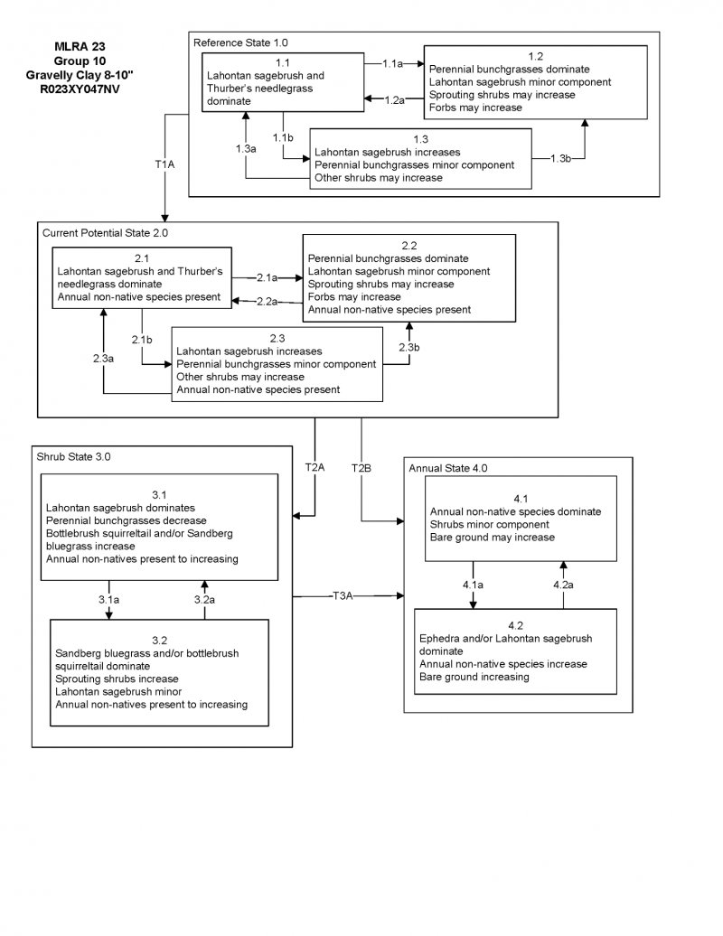 Model diagram