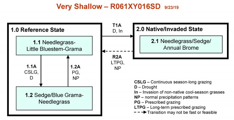 Model diagram