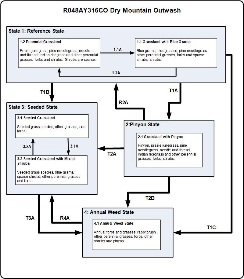 Model diagram