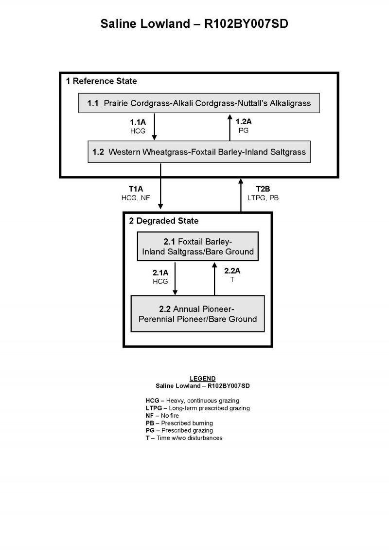 Model diagram
