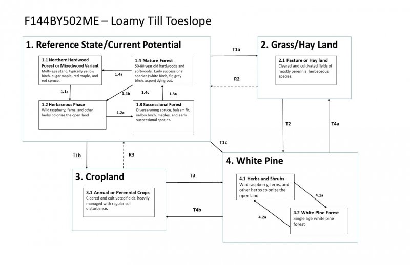 Model diagram