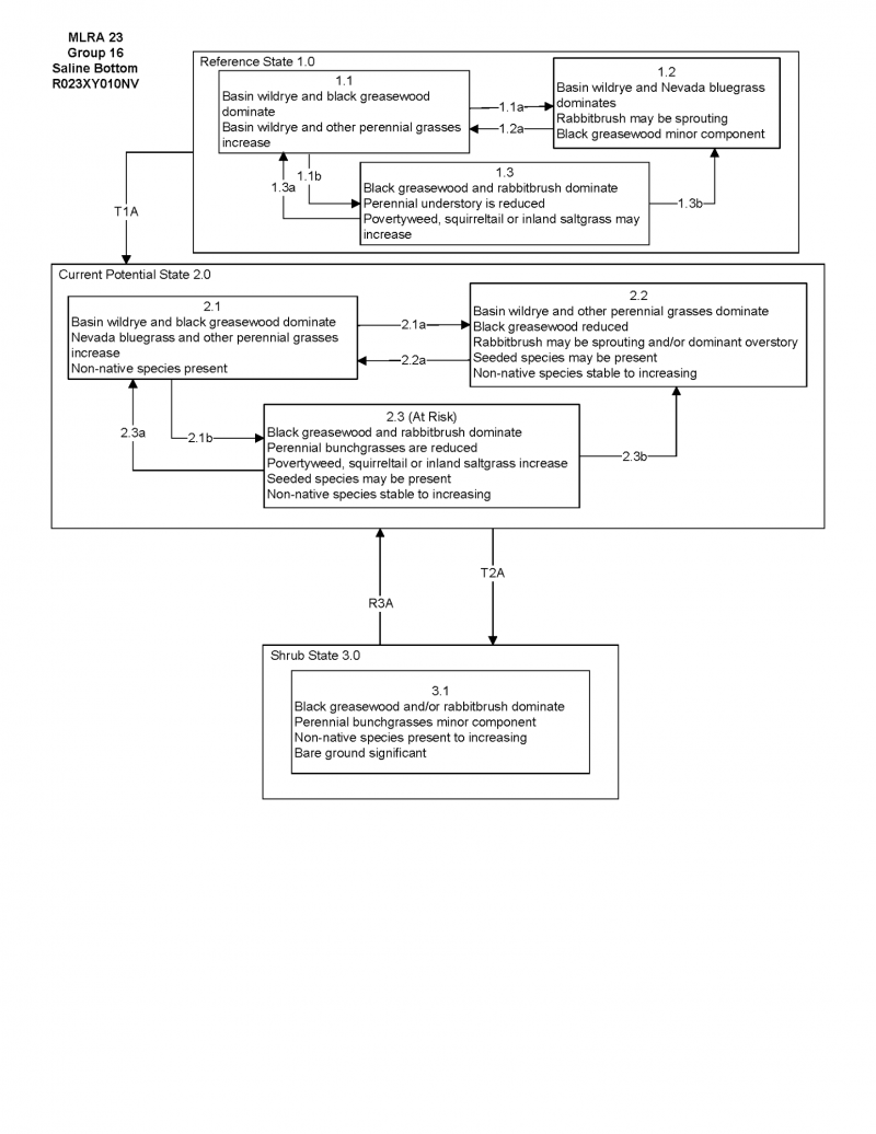 Model diagram