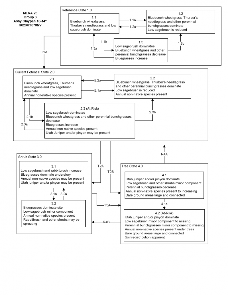 Model diagram