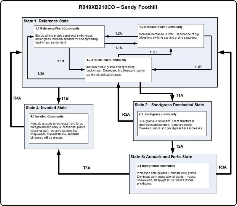 Model diagram