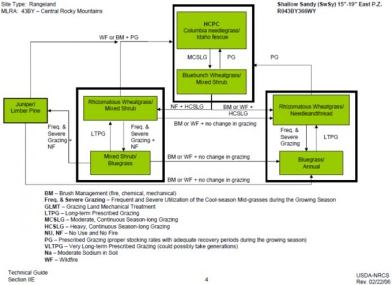 Model diagram