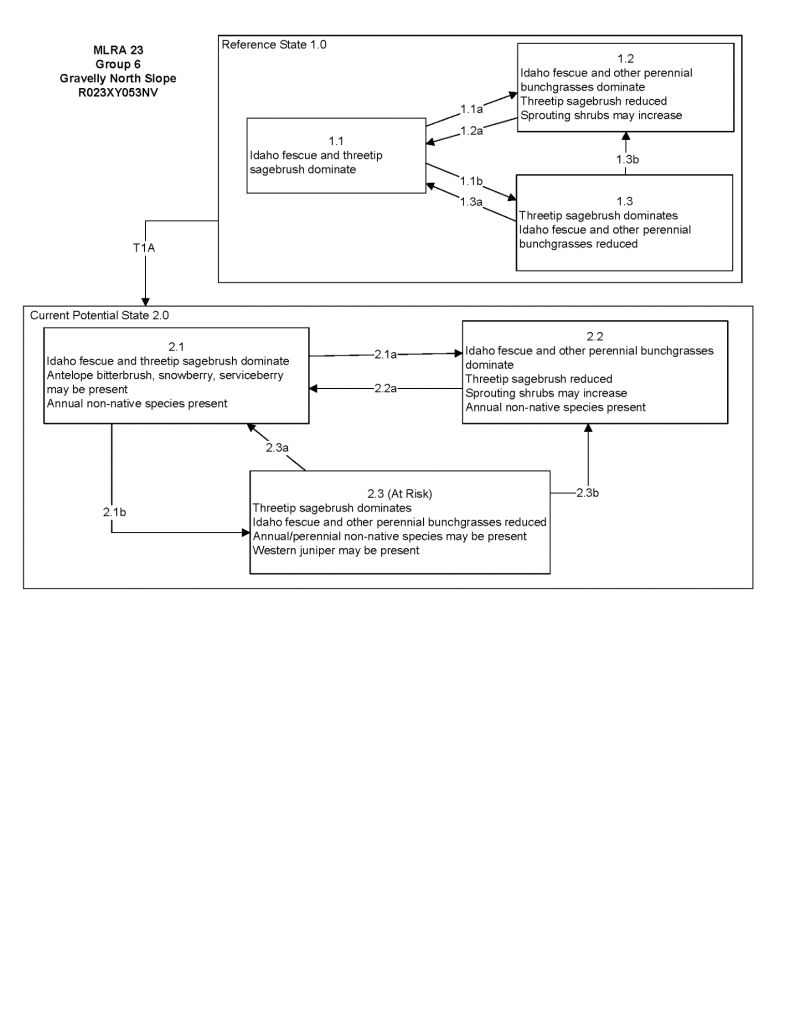 Model diagram