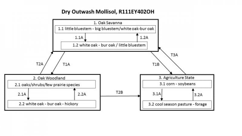 Model diagram