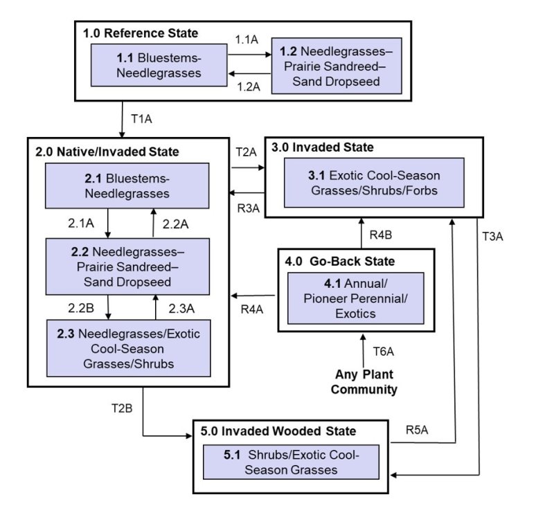 Model diagram