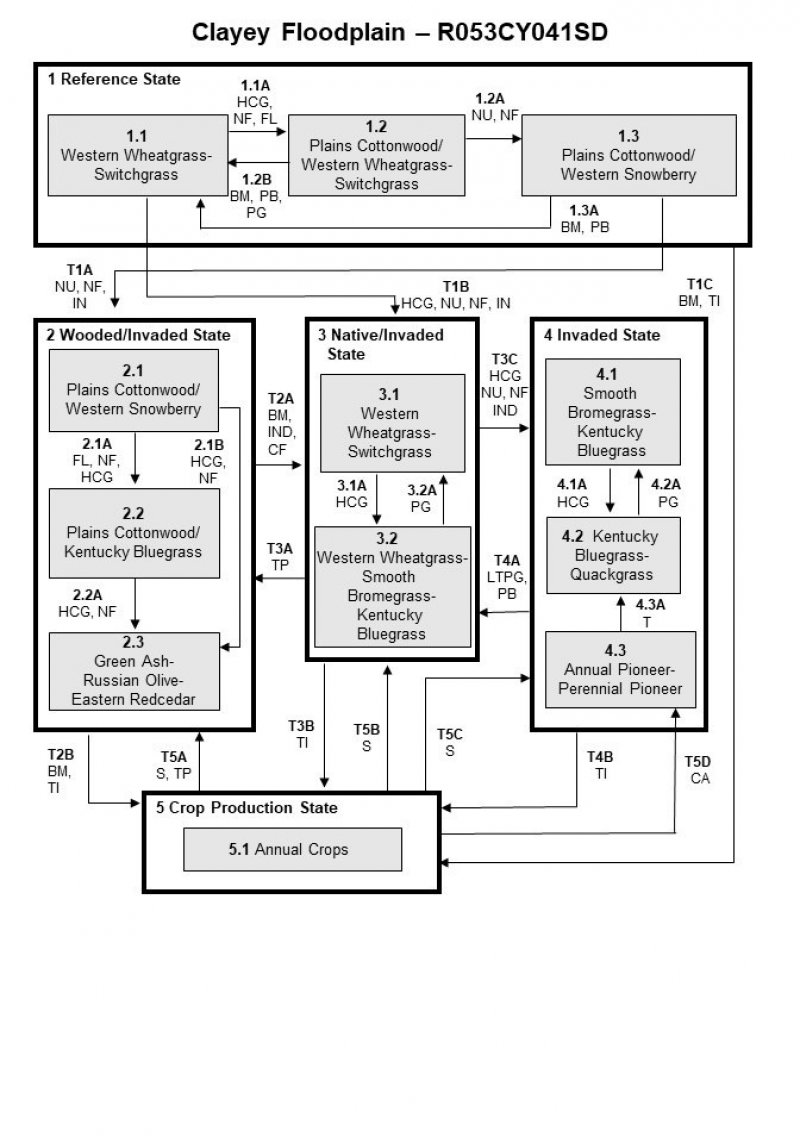 Model diagram
