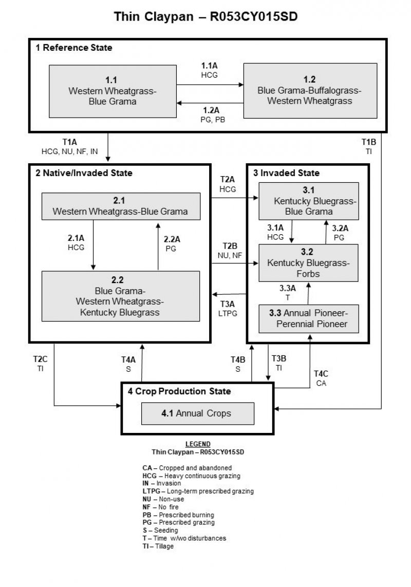 Model diagram