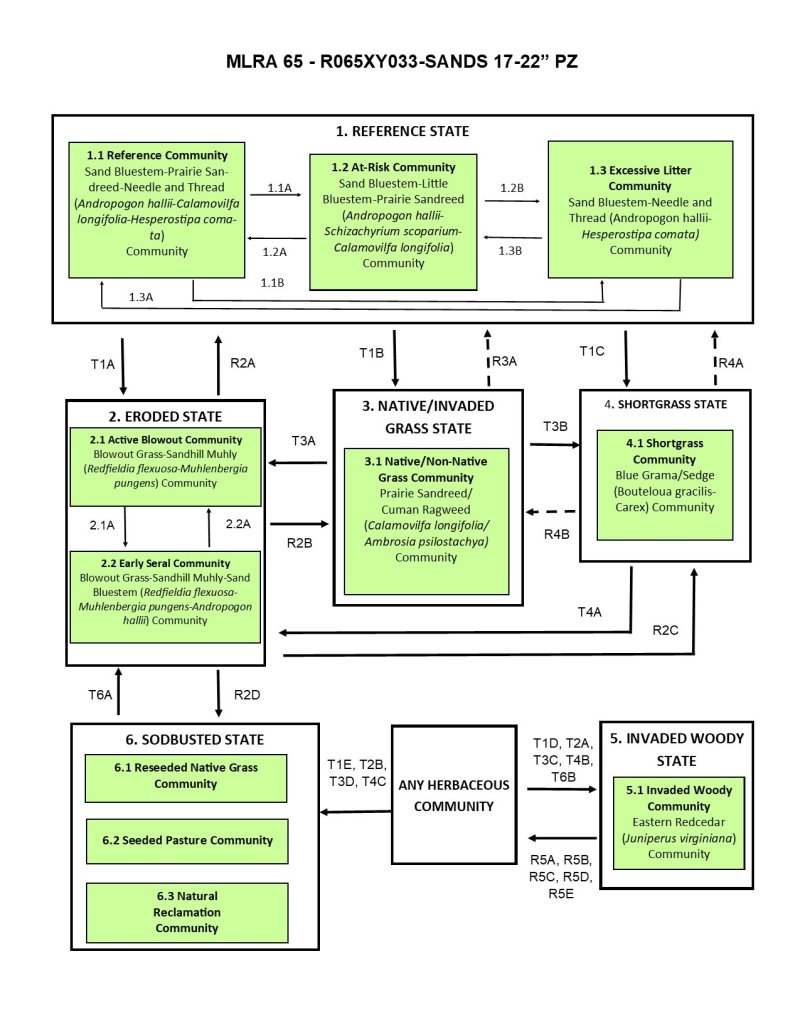 Model diagram