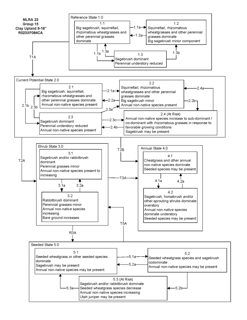 Model diagram