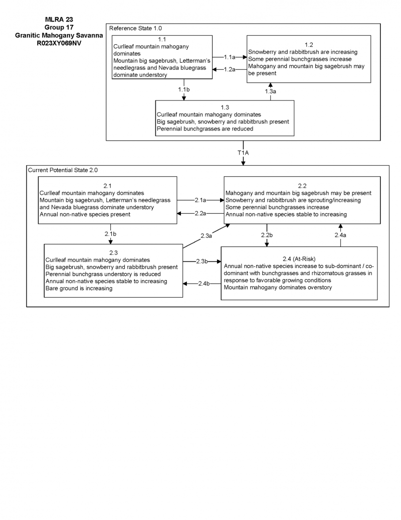 Model diagram