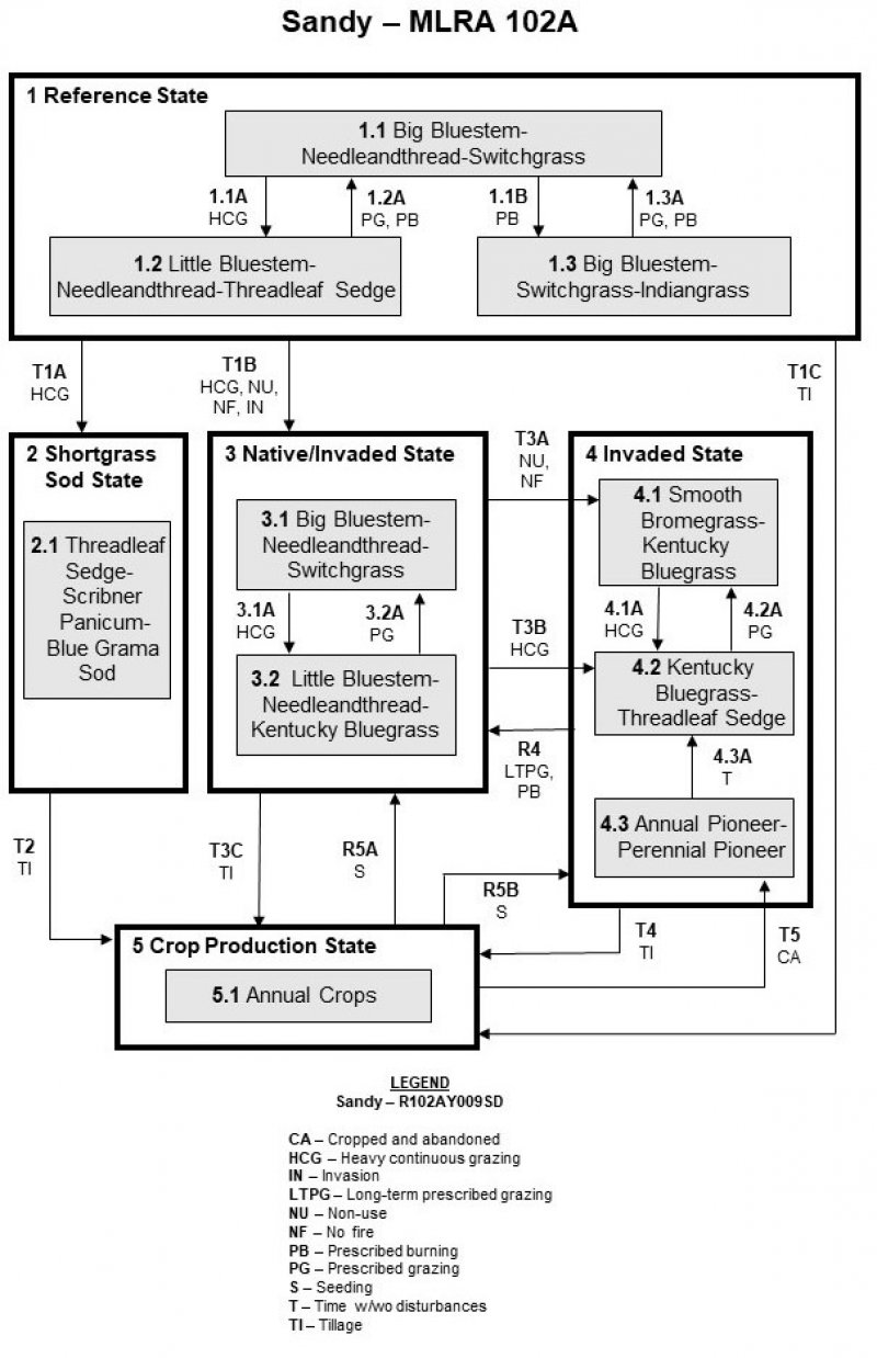 Model diagram