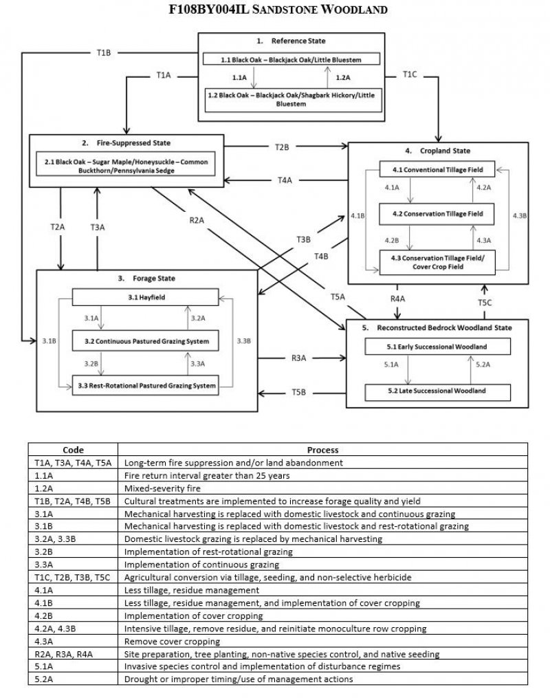 Model diagram