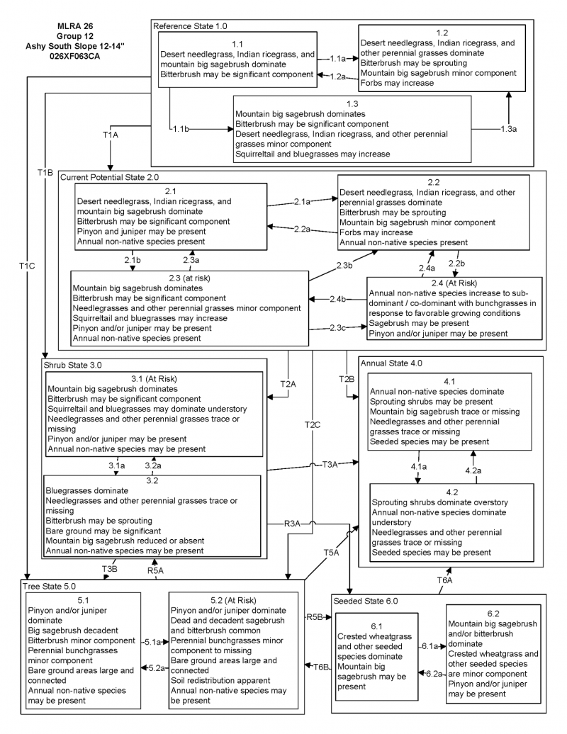 Model diagram