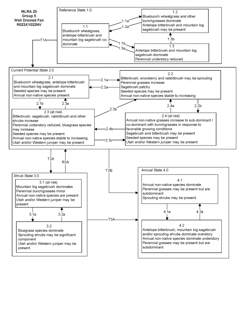 Model diagram