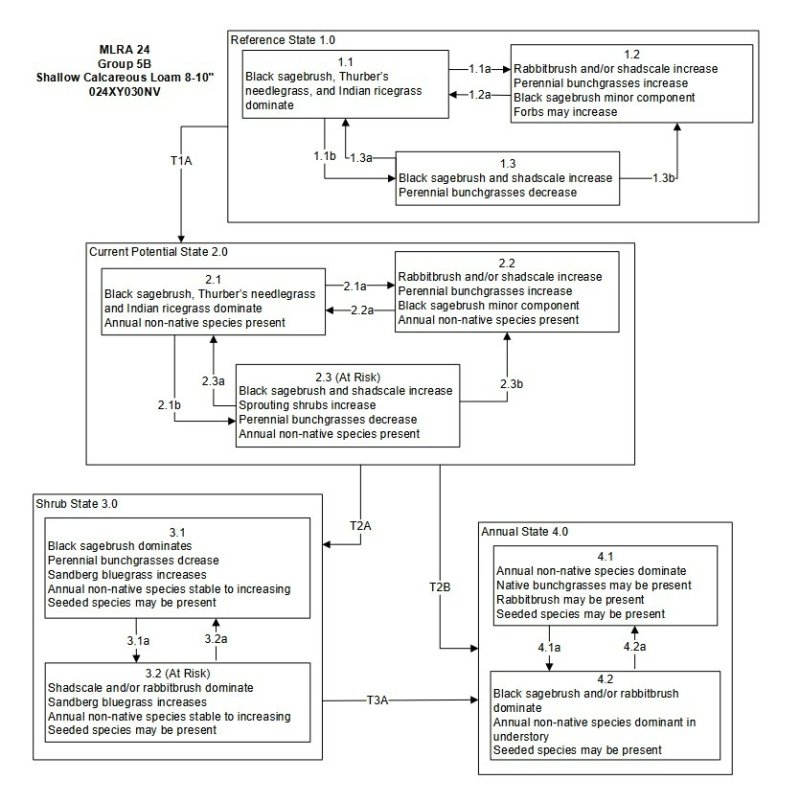 Model diagram