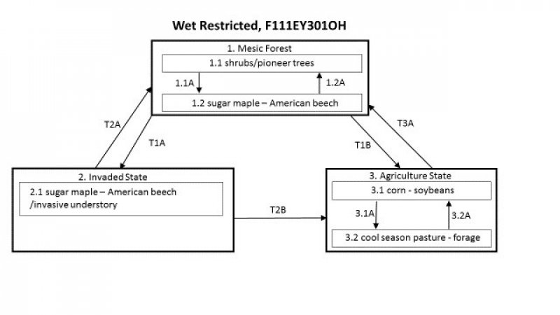 Model diagram