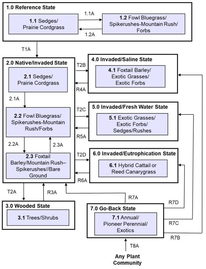 Model diagram