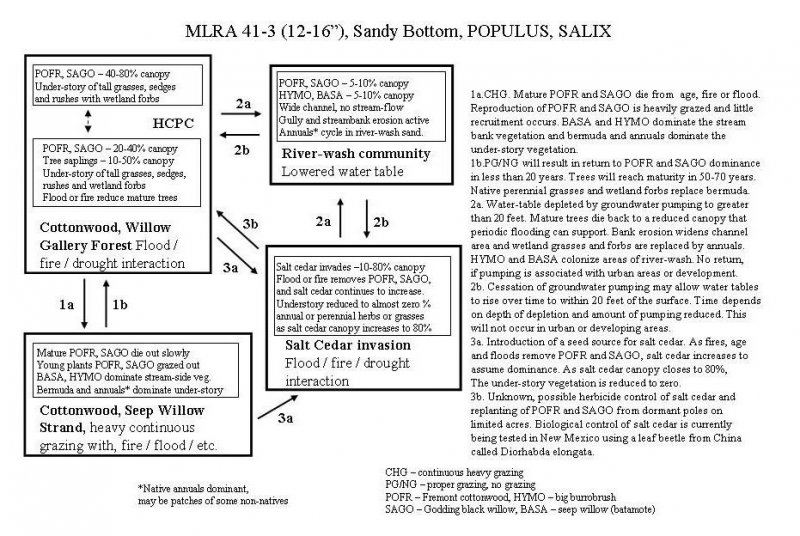 Model diagram