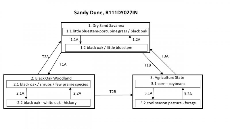 Model diagram