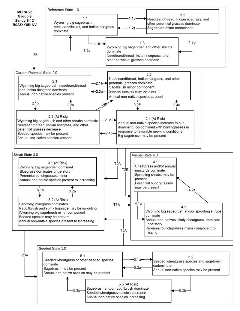 Model diagram