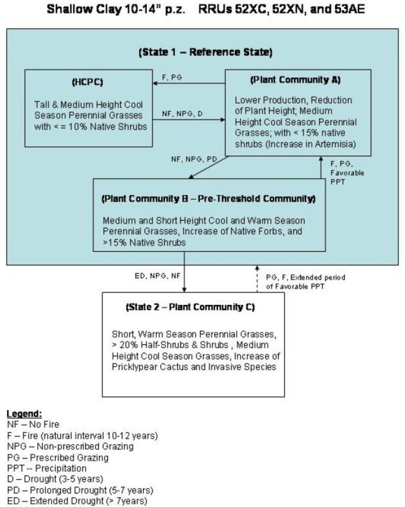 Model diagram
