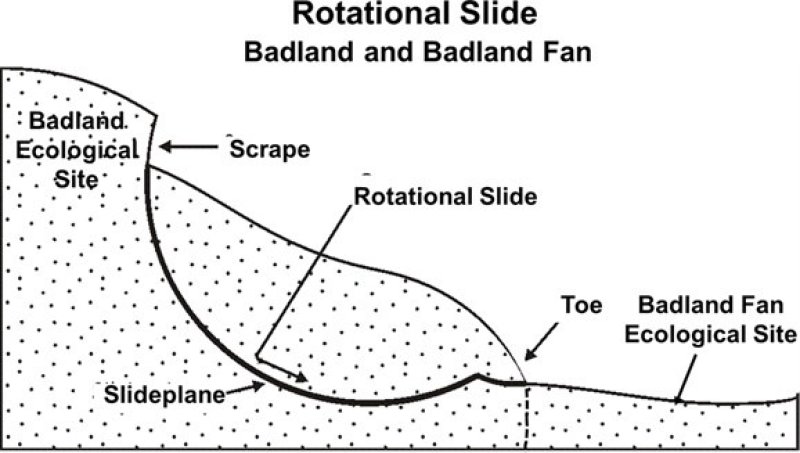 Model diagram