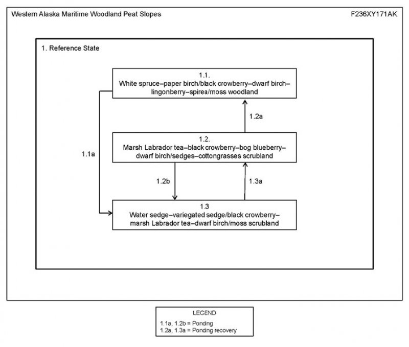 Model diagram