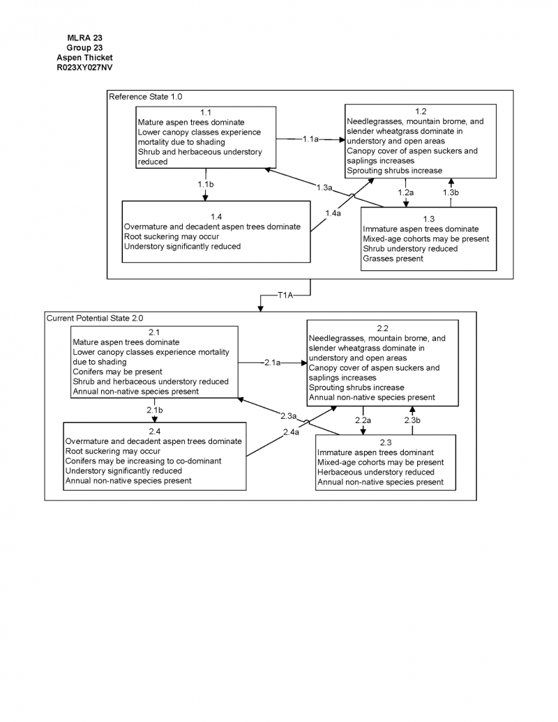 Model diagram