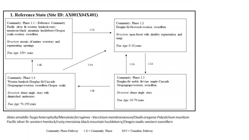 Model diagram