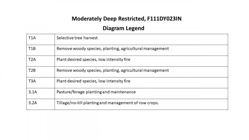 Model diagram
