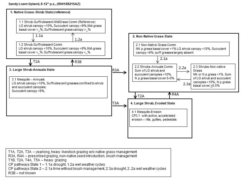 Model diagram