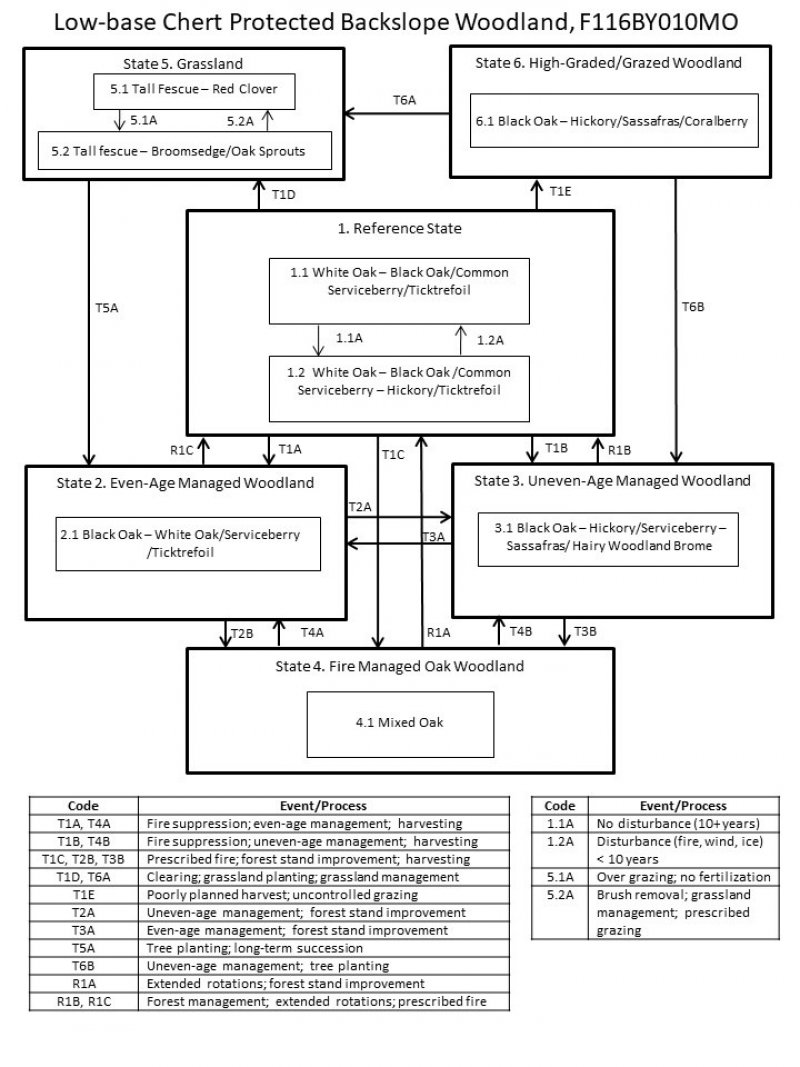 Model diagram